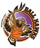 Ball Hawks Official Logo