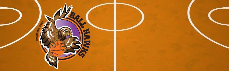 Ball Hawks Logo Slider
